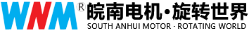 重庆皖能电机有限公司 